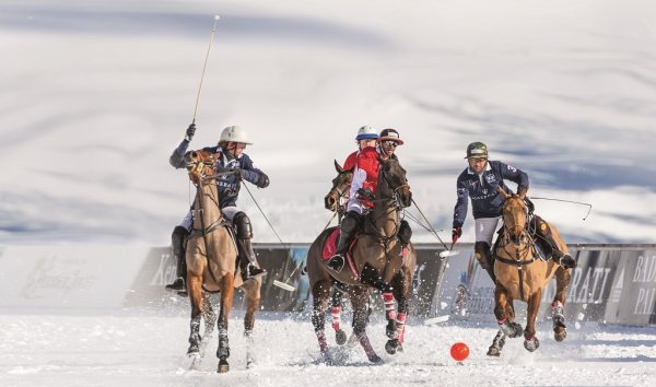 Зимнее Конное поло