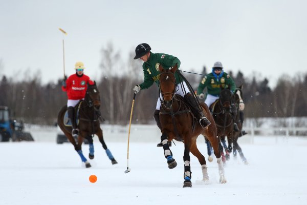 Зимнее Конное поло