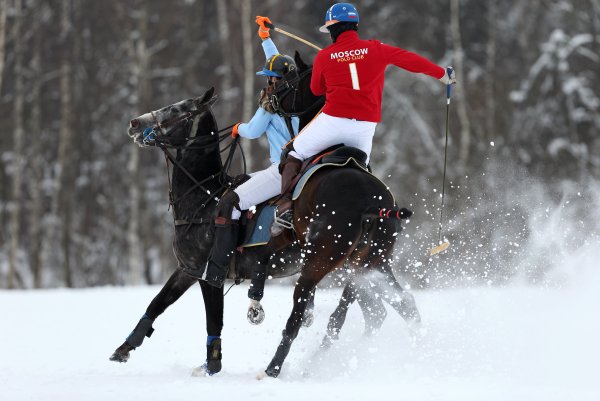 Снежное поло лошади