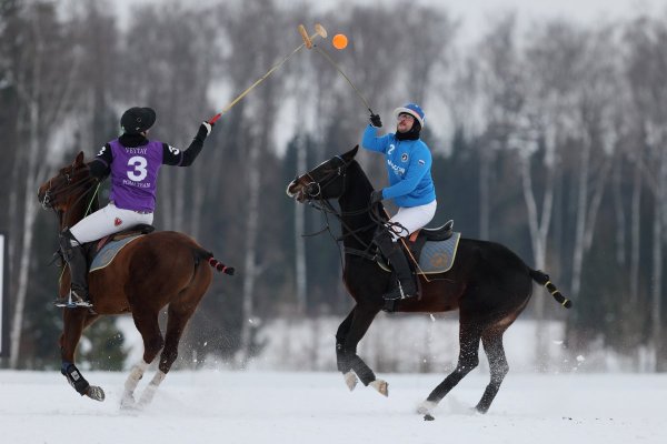Зимнее Конное поло