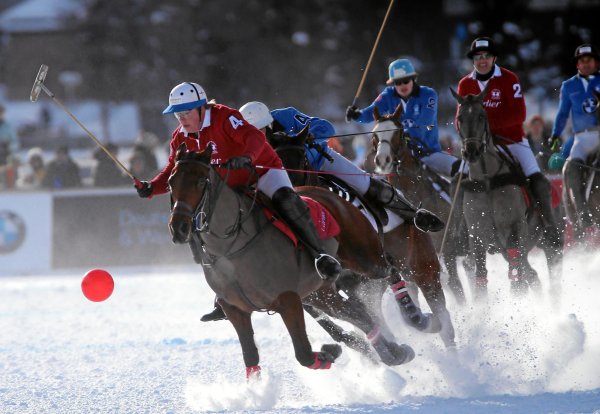 Снежное поло вид спорта