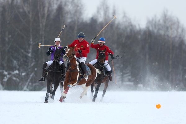 Снежное поло вид спорта