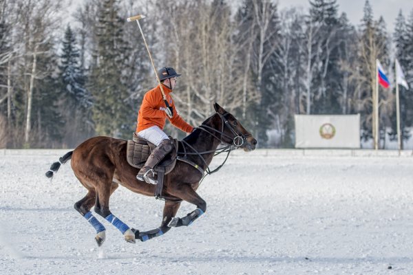 Снежное поло вид спорта в России Московский клуб