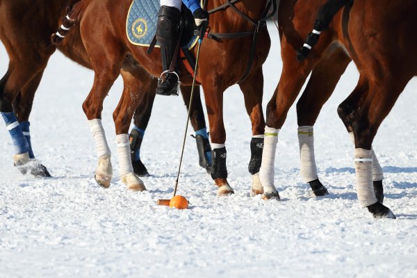 Зимнее Конное поло