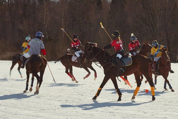 Снежное поло в России