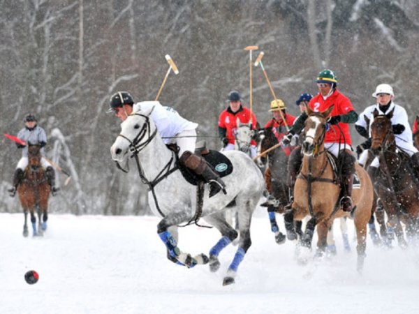 Снежное поло вид спорта