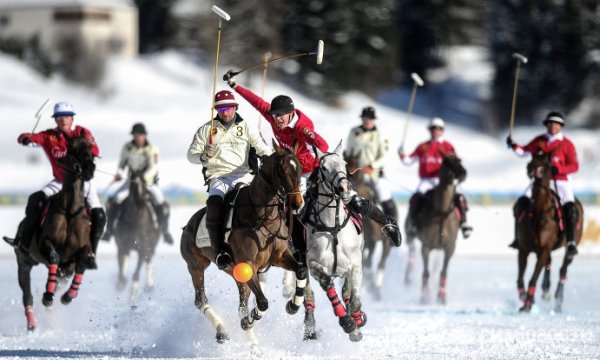 Снежное поло лошади