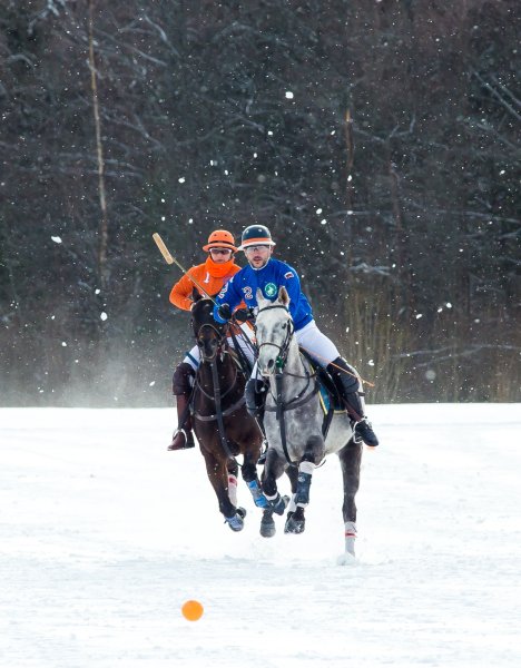 Конное поло на снегу