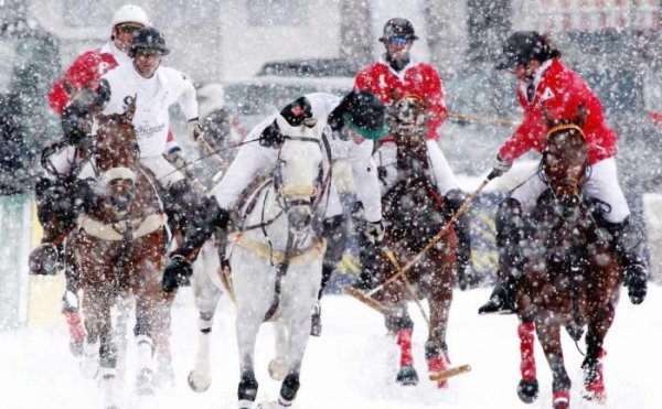 Снежное поло Королевский вид спорта