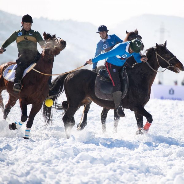 Чимган горы лошади