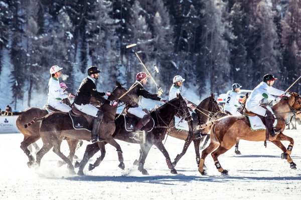 Снежное поло в Санкт Морице