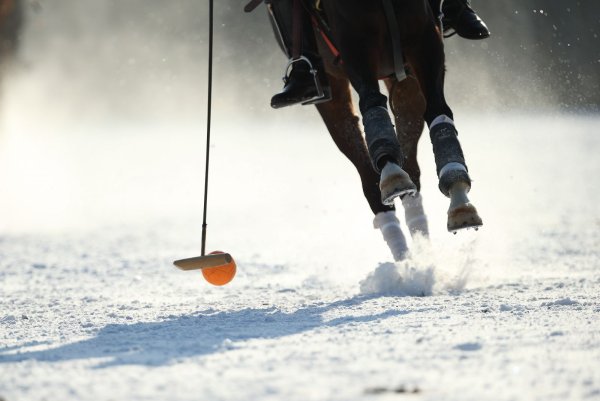 Первое Снежное поло