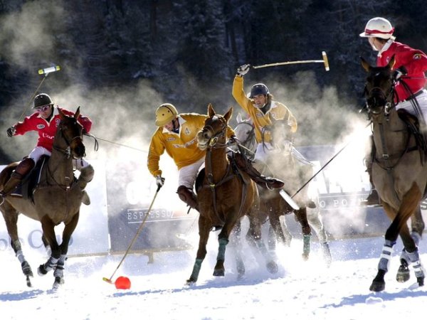Снежное поло Королевский вид спорта