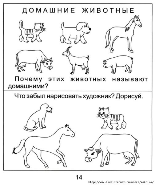 Домашние животные задания для детей 4-5 лет
