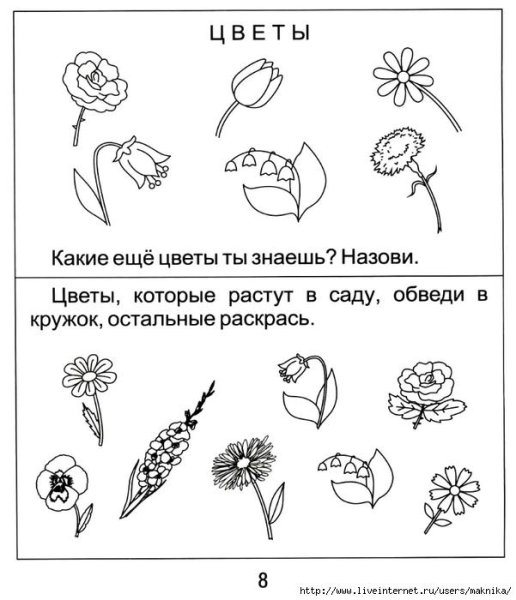 Цветы задания для дошкольников