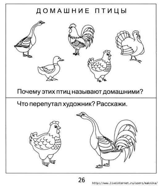 Лексическая тема домашние птицы задания для детей