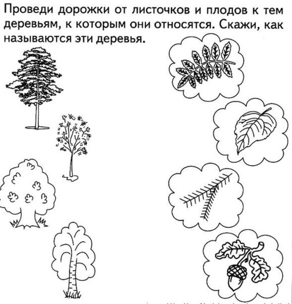 Деревья задания для дошкольников