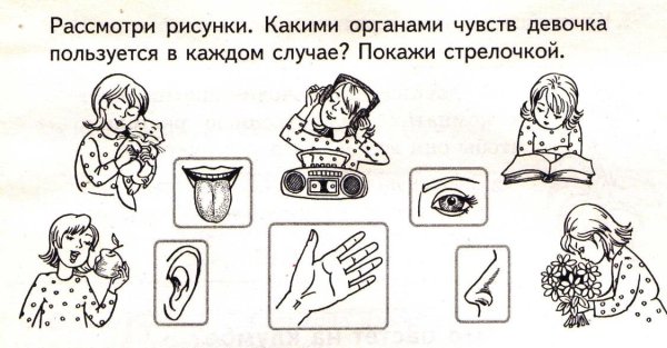 Органы чувств задания