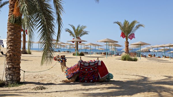 Санни Бич Египет