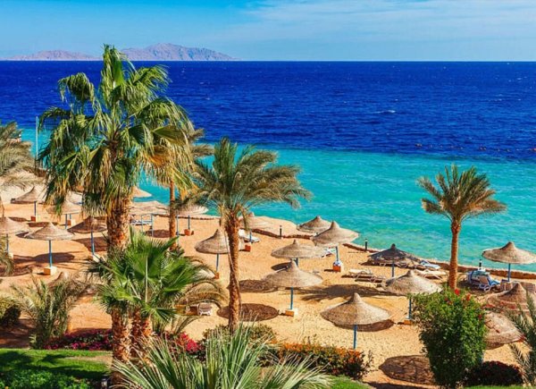 Египет 1 июля