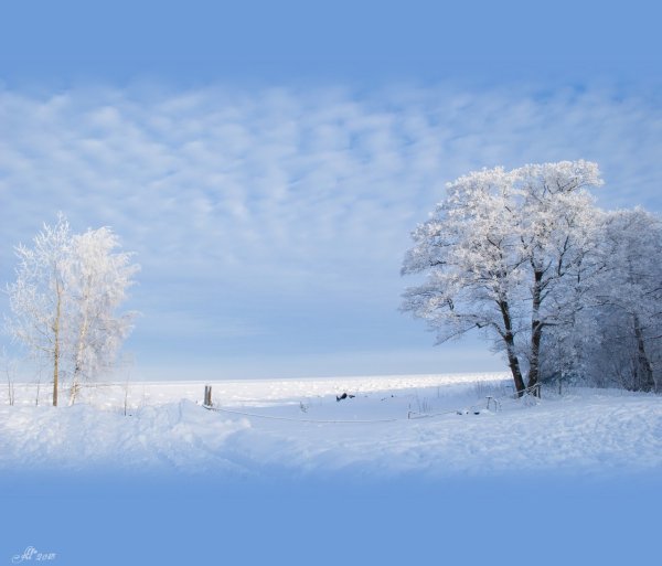 Заснеженная даль