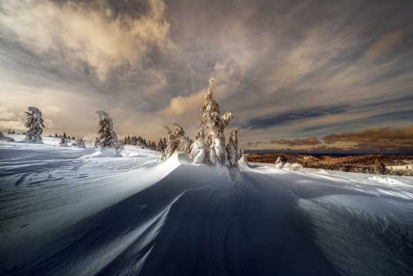 Снежная даль