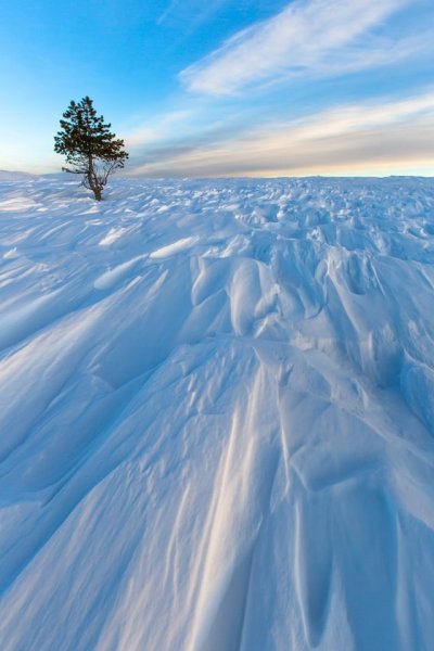 Снег равнина