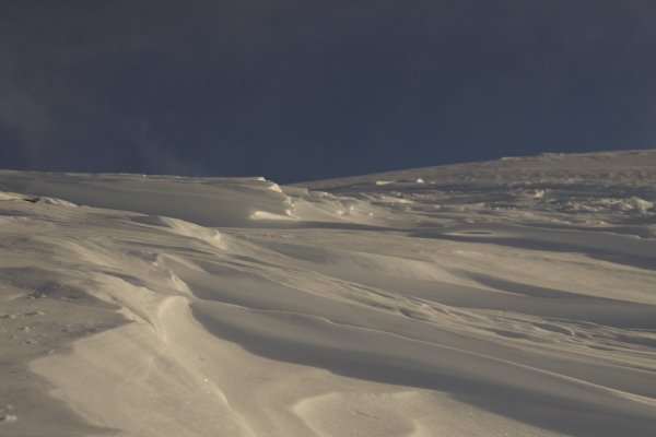 Звенящая Снежная даль