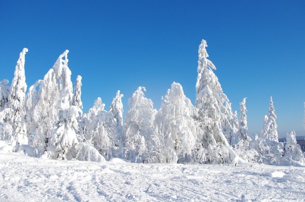 Белая скала Пермский край