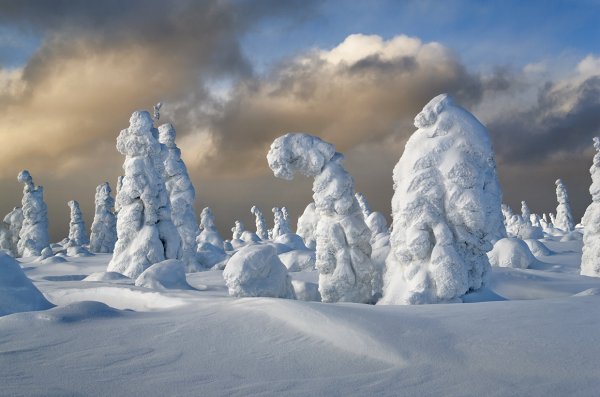 Снежная даль картинка