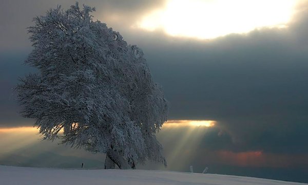 Снежный ветер