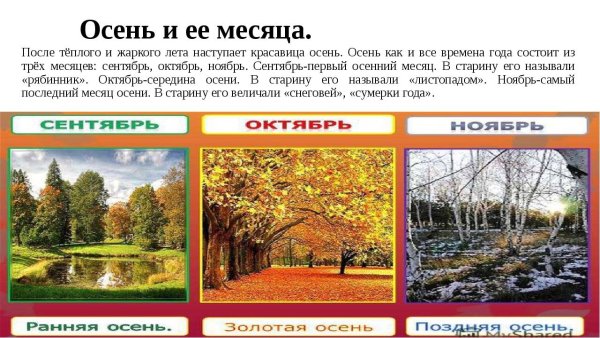 Осенние месяцы