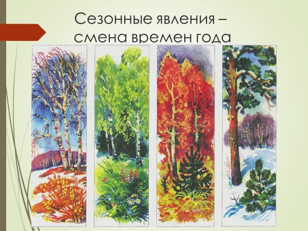 Сезонные изменения в природе