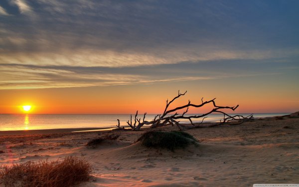 Пустынный берег моря