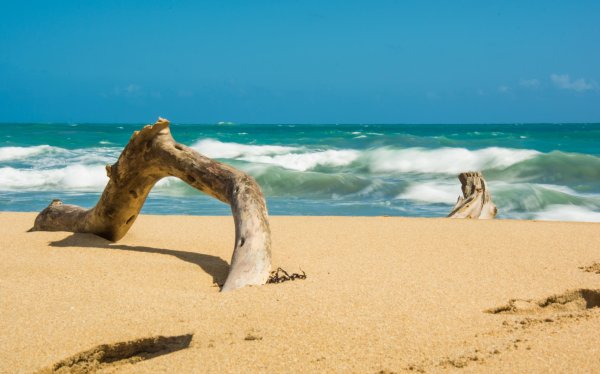 Безлюдный берег