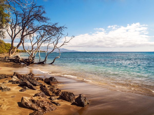 Пустынный морской пляж