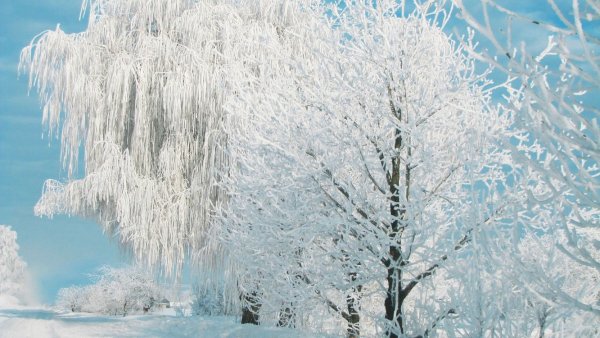 Иней в природе