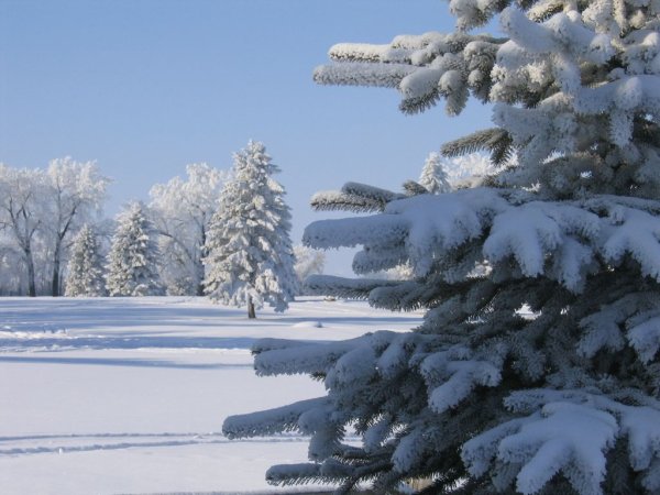 Зима январь