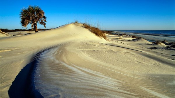 Штат Джорджия природа