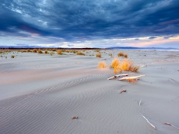 Пустынный берег моря