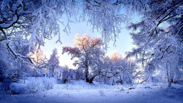 Зимушка зима