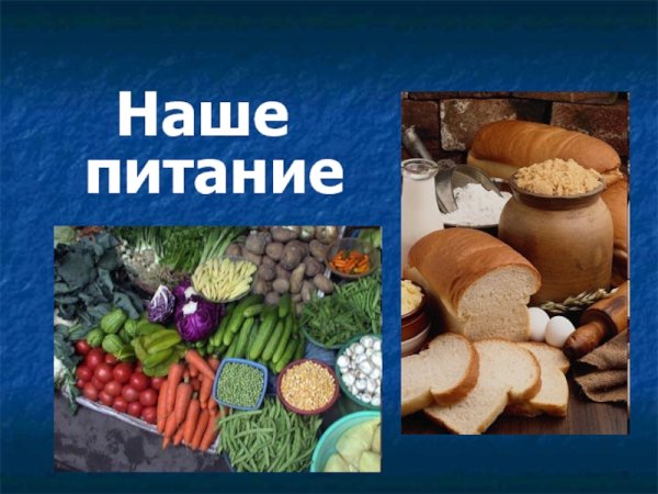 Наше питание