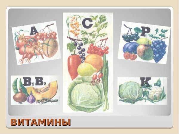 Окружающий мир 3 класс проект наше питание