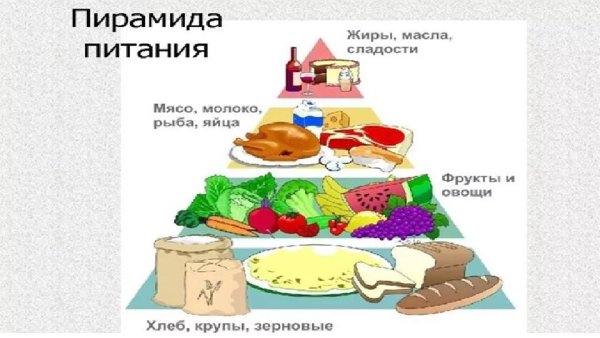 Наше питание