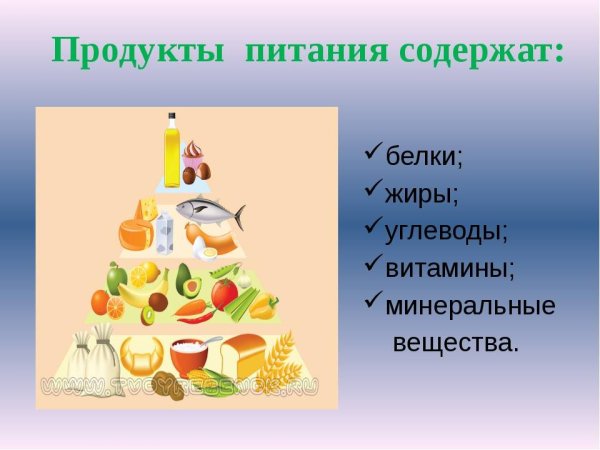 Белки жиры углеводы витамины Минеральные вещества