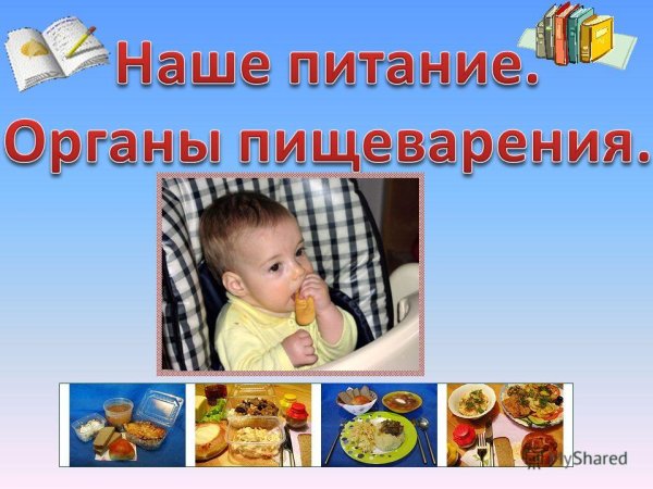 Наше питание 3 класс окружающий мир