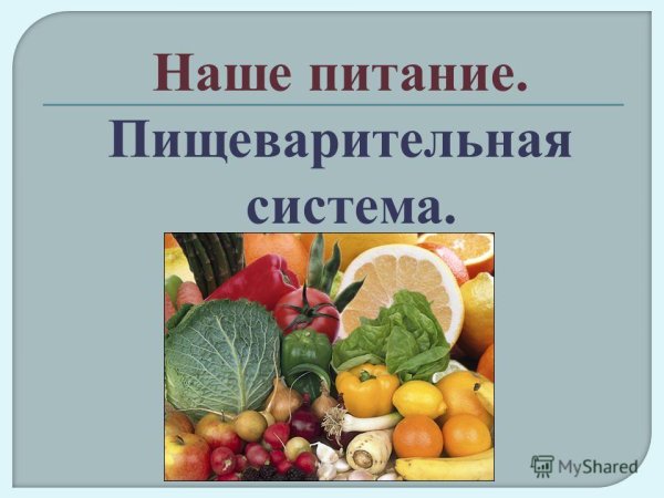 Наше питание