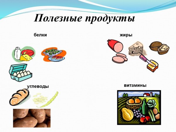 Полезные жиры и белки продукты