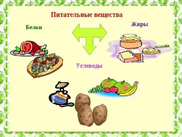 Полезные питательные вещества