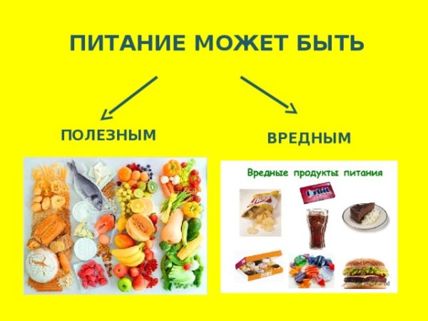 Вредная и полезная еда проект